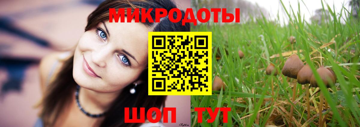 Псилоцибиновые грибы мухоморы  Псилоцибиновые грибы Psilocybe  Минусинск  Вход с VPN 